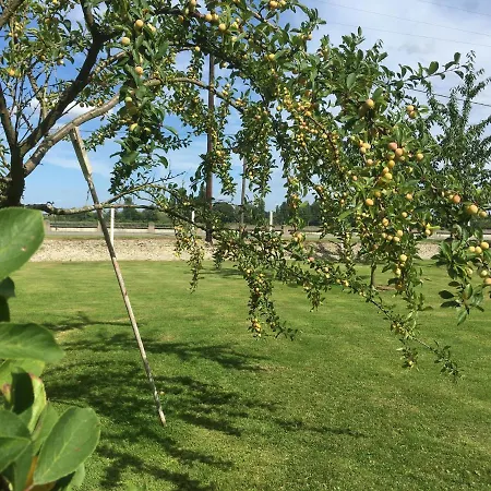 Alojamento de Acomodação e Pequeno-almoço La Glycine Yainville